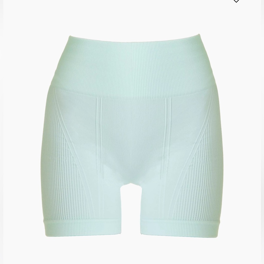 Alala Barre Seamless Shorts in Mint Small